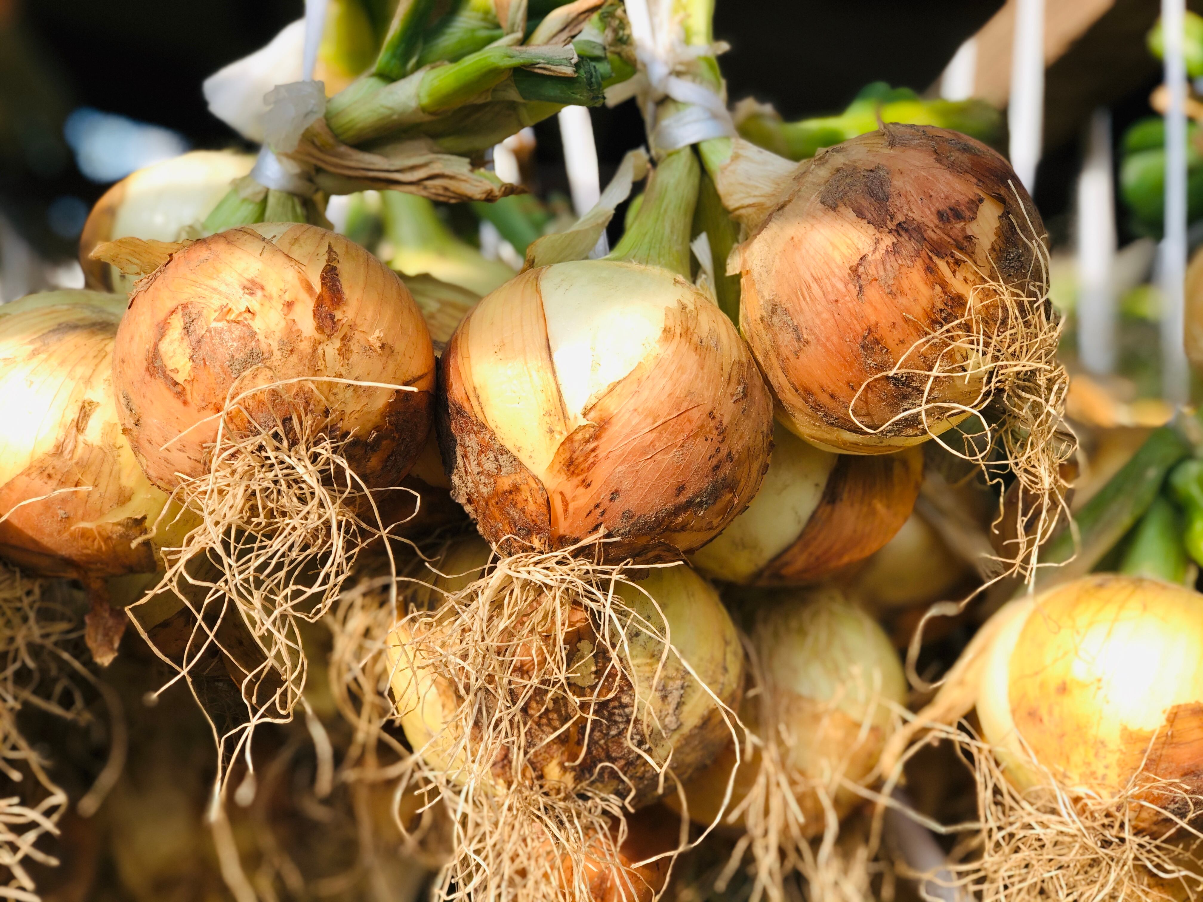 生玉ねぎドレッシング1本 | 十兵衛オンラインショップ
