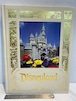 洋書　Disneyland  The First Thirty-Five Years