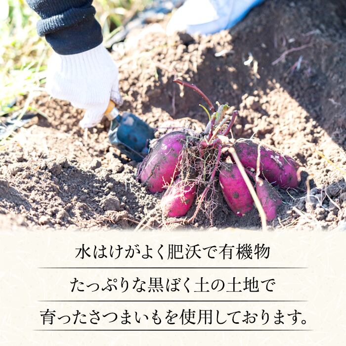 干し芋 国産 無添加 送料無料 茨城県産 紅はるか 平干し お菓子 干し芋 国産 無添加 送料無料 茨城県産 紅はるか 平干し お菓子