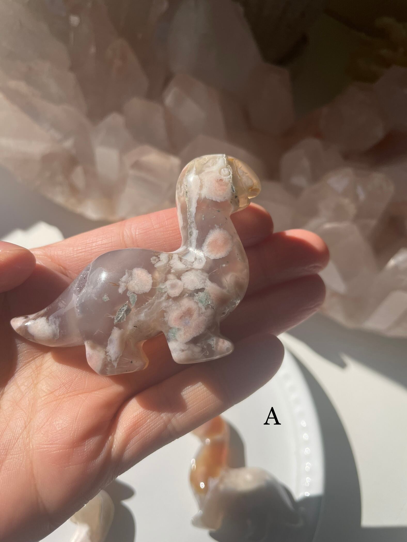 Flower Agate Dinosaur/ フラワーアゲート　恐竜