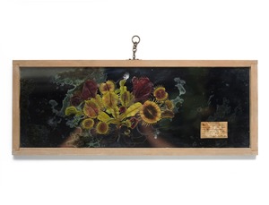 [食虫植物] Botantique mirror no.90  [マスシプラ]