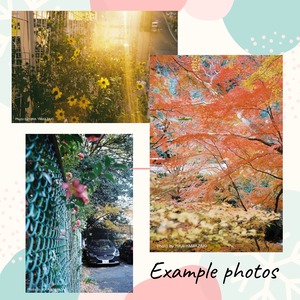 Olympus TRIP 35  <スノーホワイト>