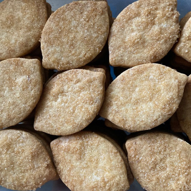 ネコと女の子の缶