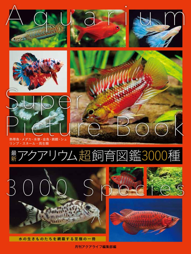057bfb3a299606fe77f3ff5bf9b7d2