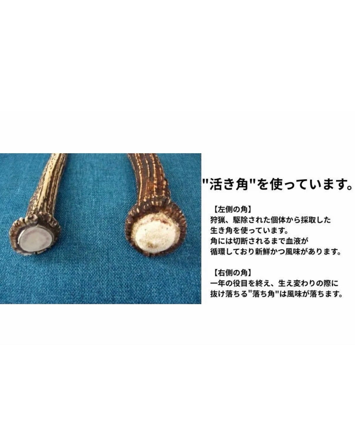 ドッグガムSサイズ(超小型~小型犬向) 鹿角かみかみ習慣 犬用ガム 天然鹿角 デンタルケア 国産 無添加 ストレスケア 犬用おもちゃ 歯ぐきマッサージ