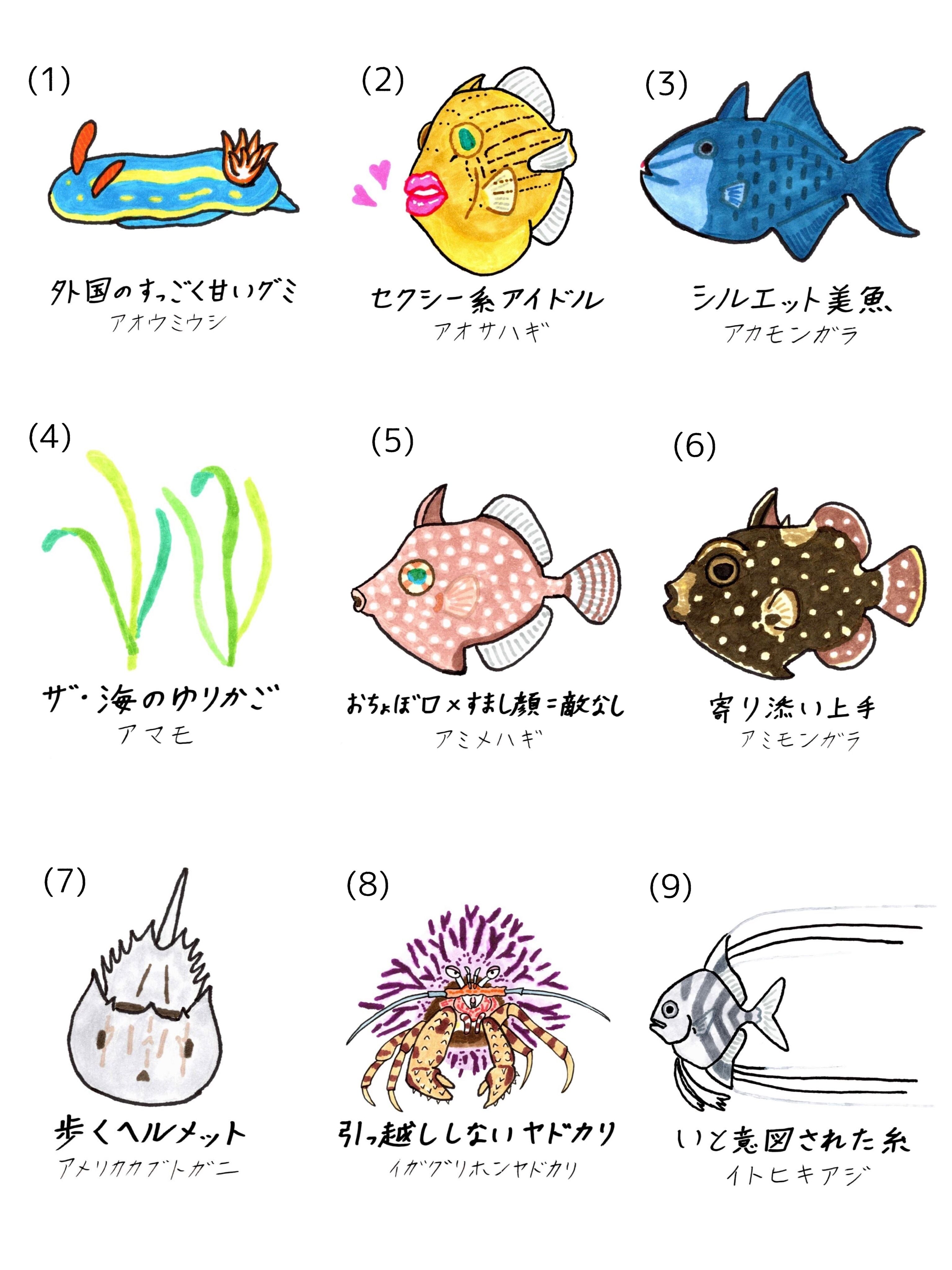 全125種】オリジナル魚名板アクリルキーホルダー | 幼魚屋オンライン