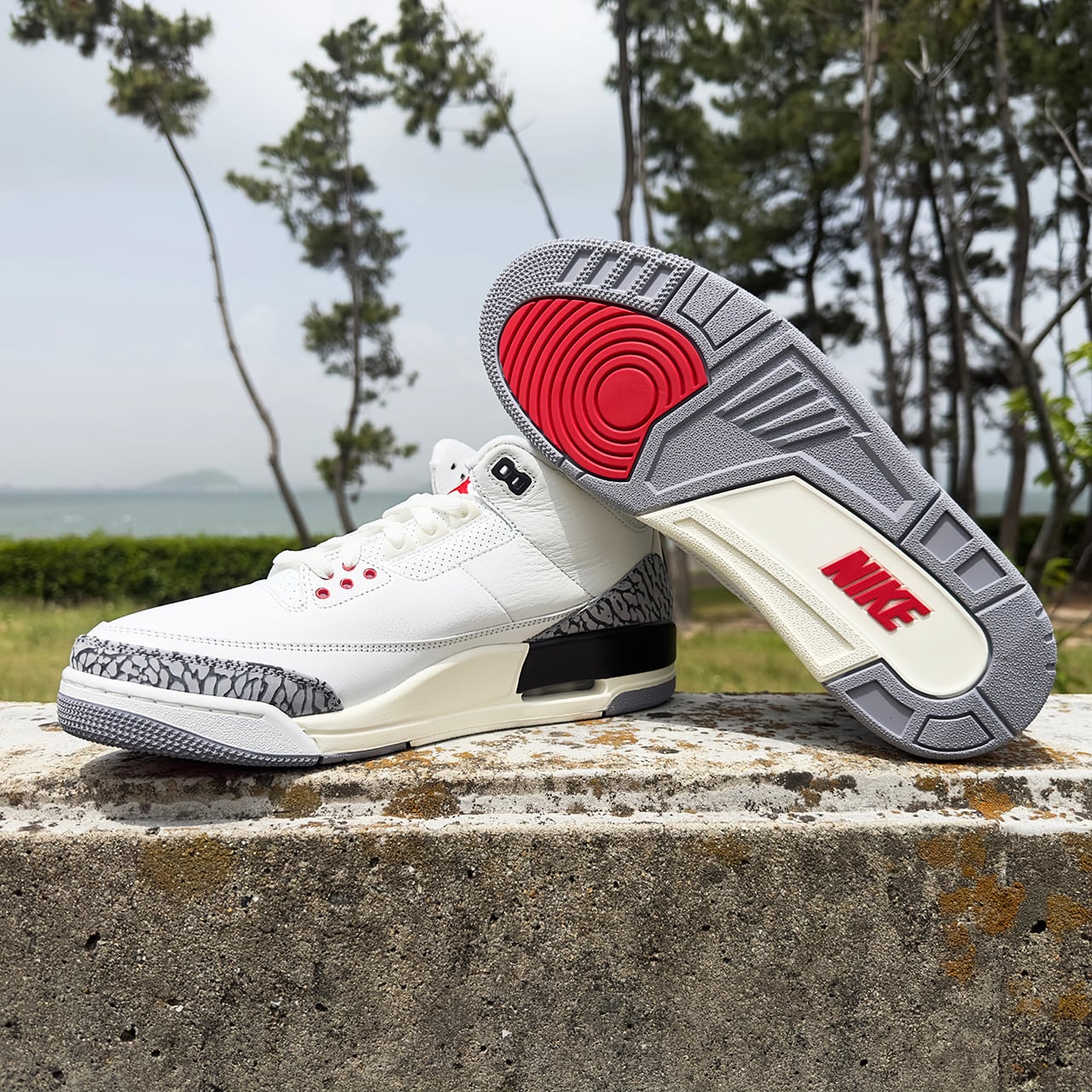 Nike Air Jordan 3 Retro 