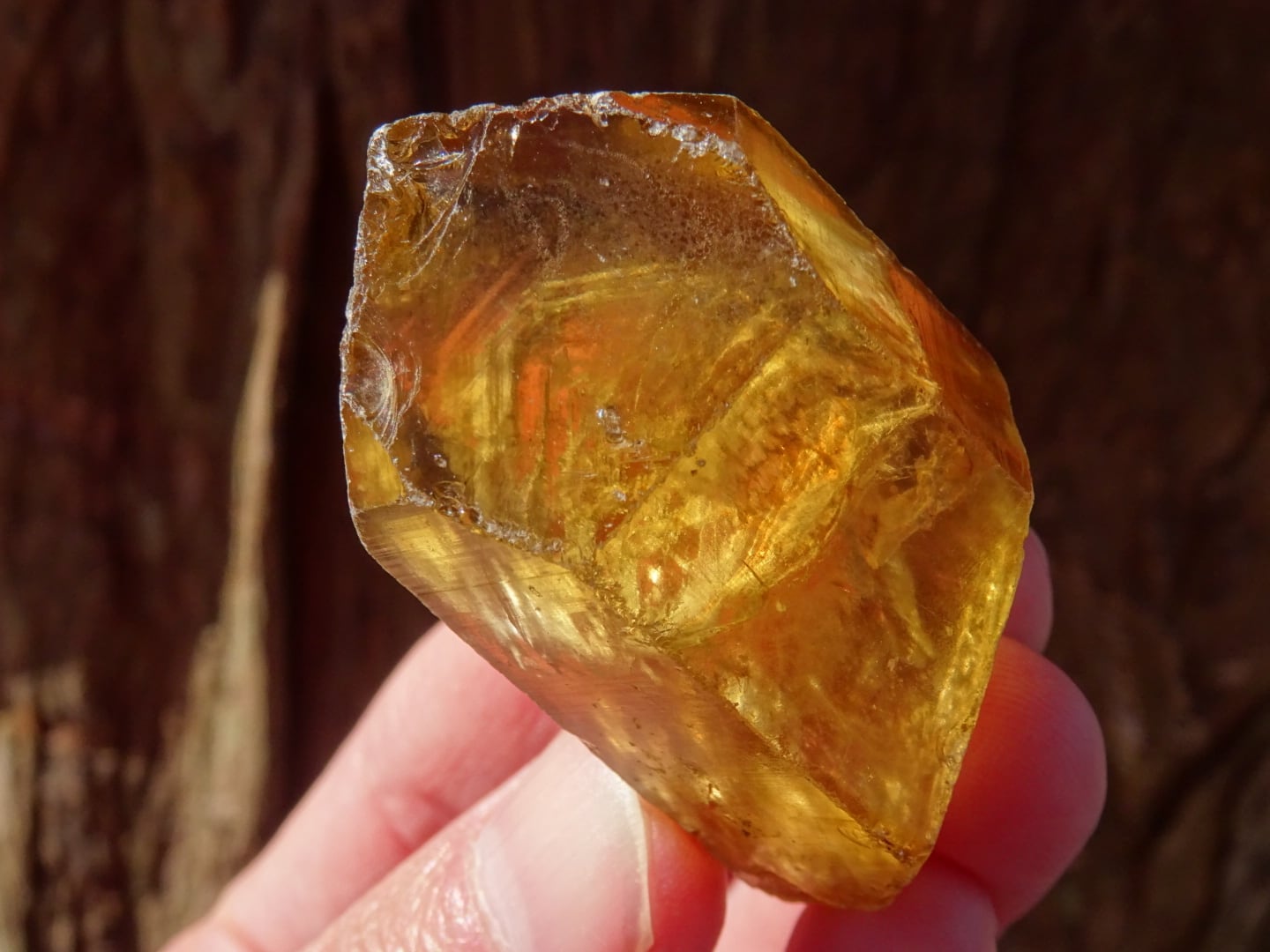 コンゴ産天然シトリン「Sons of Sun」 | 虹石屋