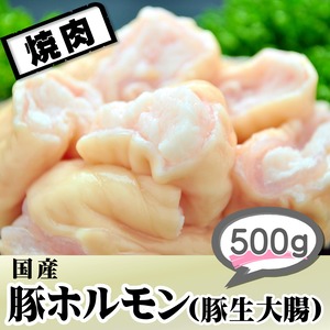 豚ホルモン（豚生大腸）500ｇ【冷蔵】焼肉･BBQ　