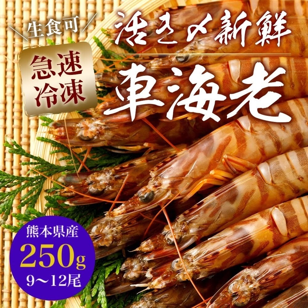 【一級品厳選】活き〆瞬間冷凍車えび 250g (9～12尾)熊本県産 水揚げ即瞬間冷凍で鮮度・品質抜群☆生食可！250g×1パック急速冷凍車エビ /クルマエビ/車えび/刺し身可