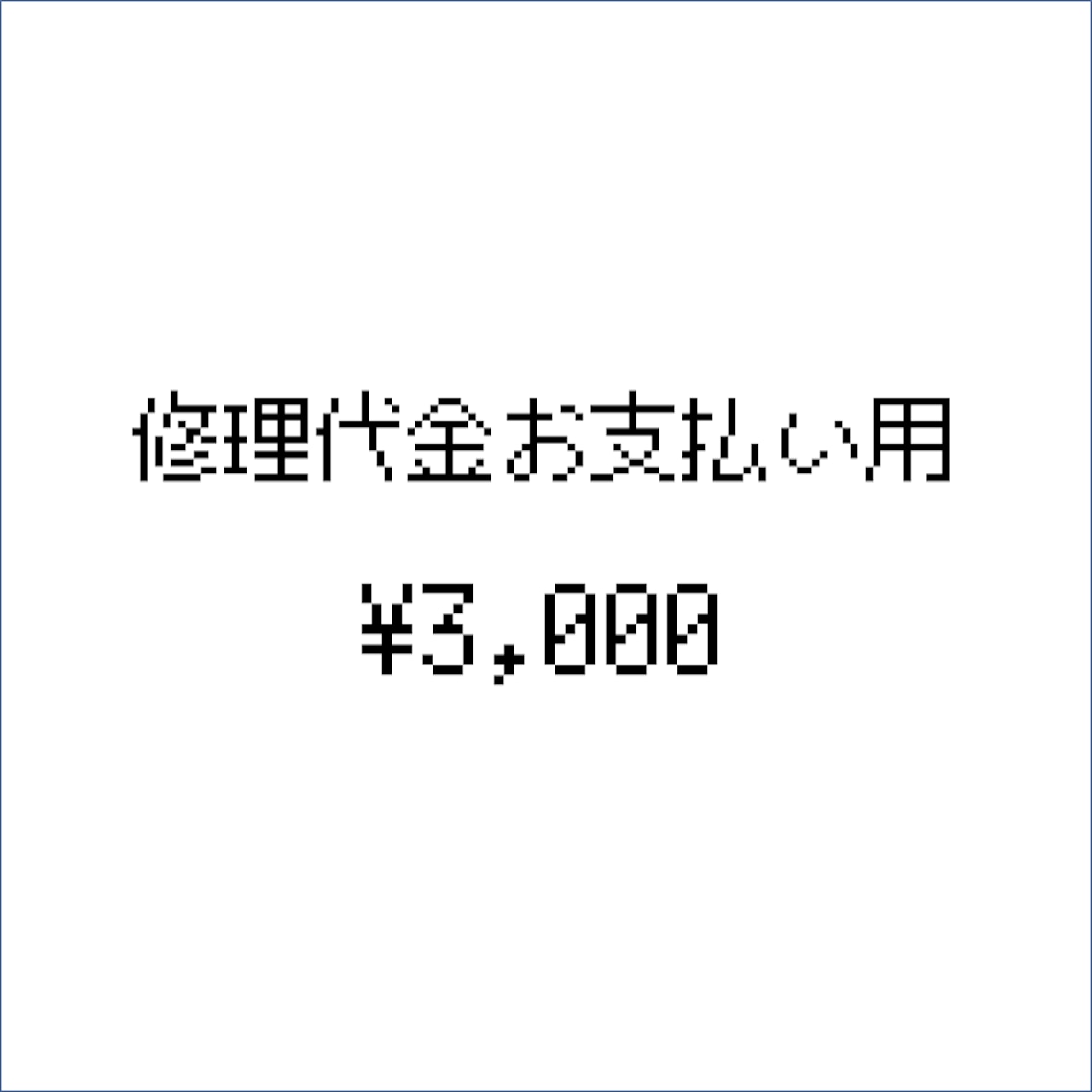 修理代金お支払い用（3,000円）