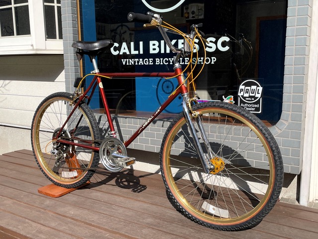 1982 Schwinn Sidewinder 10Speed