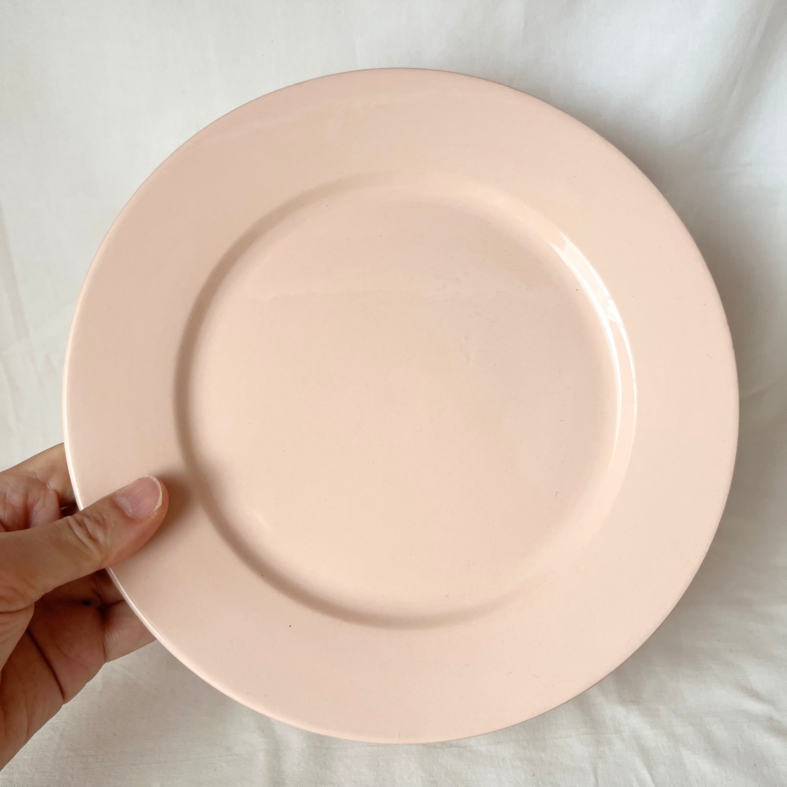 【2枚セット】ディゴワンサルグミンヌ サーモンピンク プレート 20cm A DIGOIN & SARREGUEMINES ディゴアン&サルグミンヌ サーモンピンクの