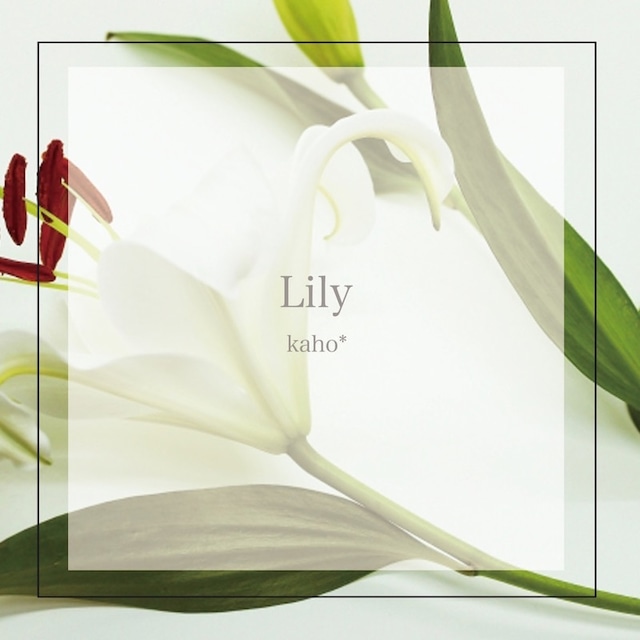 【CD】『Lily』(to Y.H)