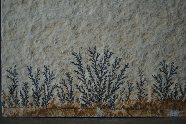 デンドライト 忍石 Dendritic limestone 1508