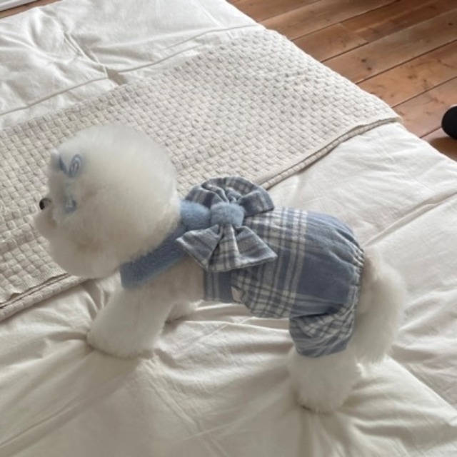 【予約】 Amelie Ribbon Romper  (Blue)