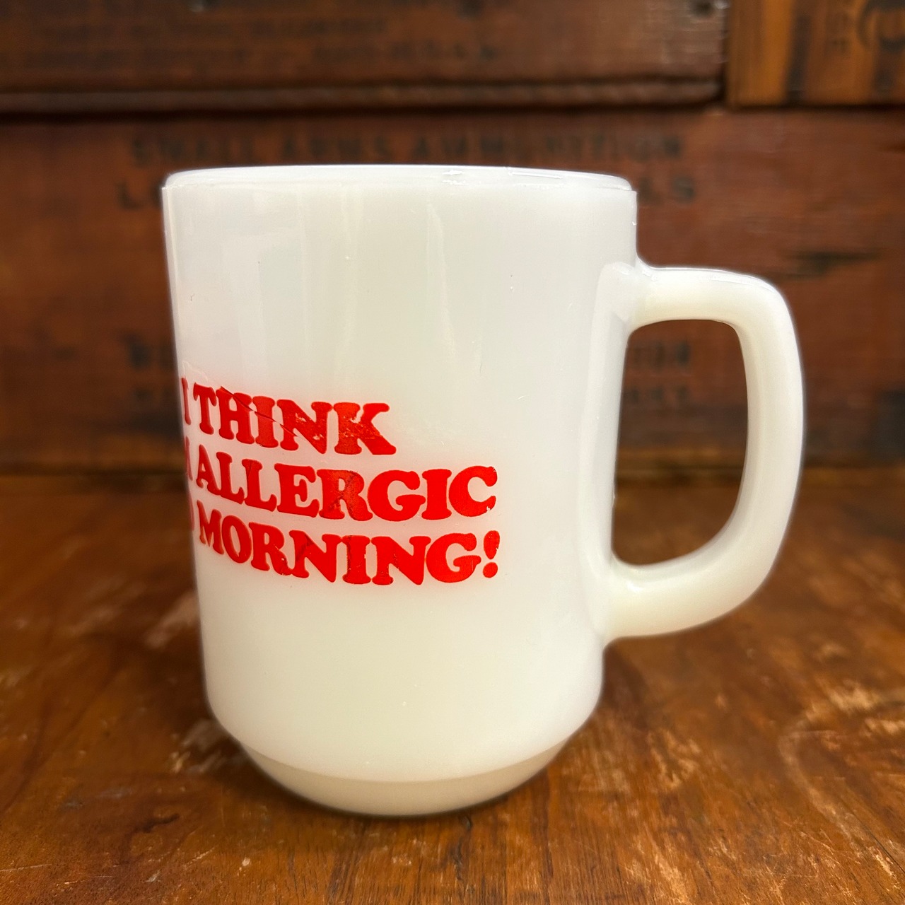 Fire-King スヌーピー モーニングアレルギー Morning Allergy 犬小屋 ミルクガラスマグ 60s 70s USA