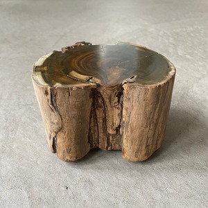 グリーンパロサント　切り株オブジェ