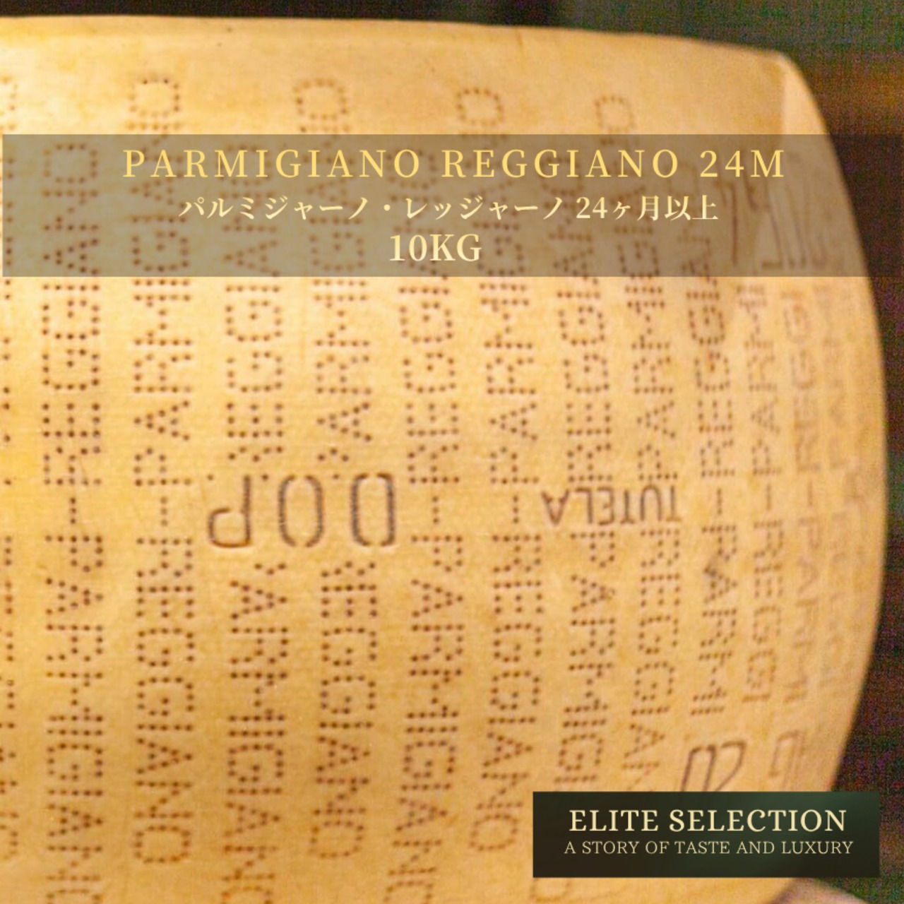 イタリア産 グラスフェッド パルミジャーノ・レッジャーノ 24ヶ月以上熟成 10kg 業務用 Grassfed Parmigiano Reggiano Cheese 24+ Months Aged 10kg | Professional Large Volume