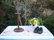 english vintage wooden hat stand 帽子スタンド