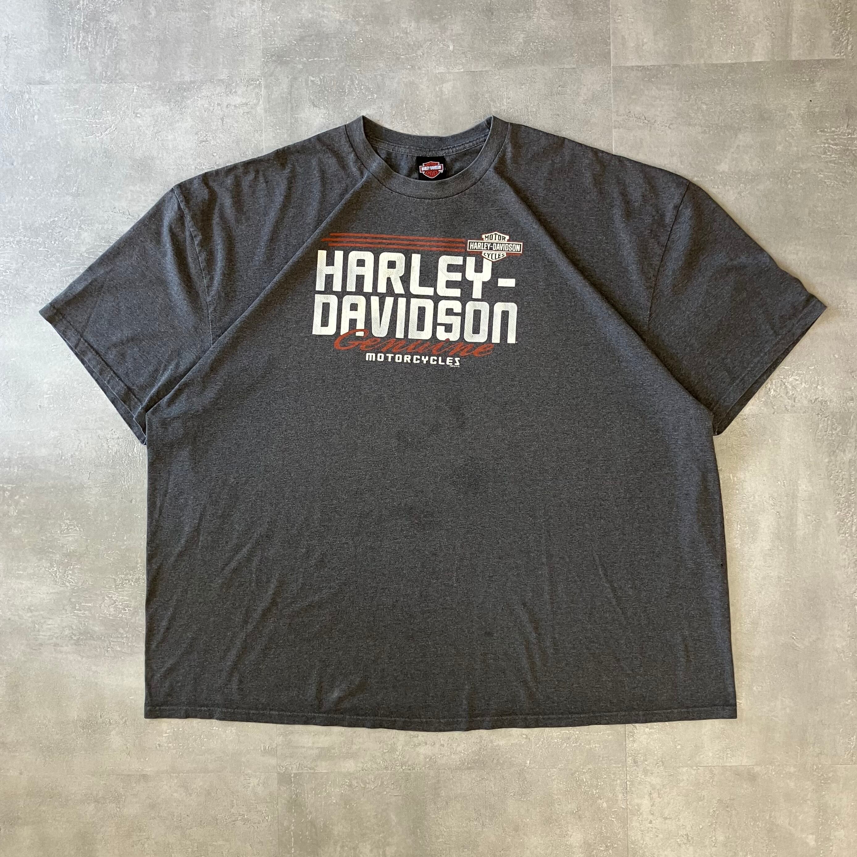 Harley-Davidson ハーレーダビッドソン プリントTシャツ 両面 5XL No.2712