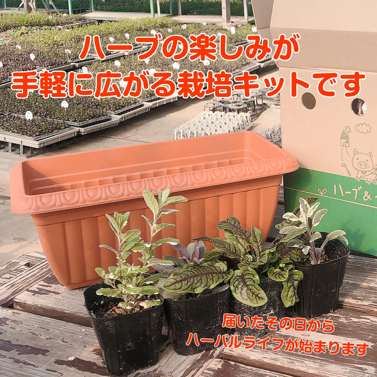 05a56df167c9c5bcae683b6daf87d0