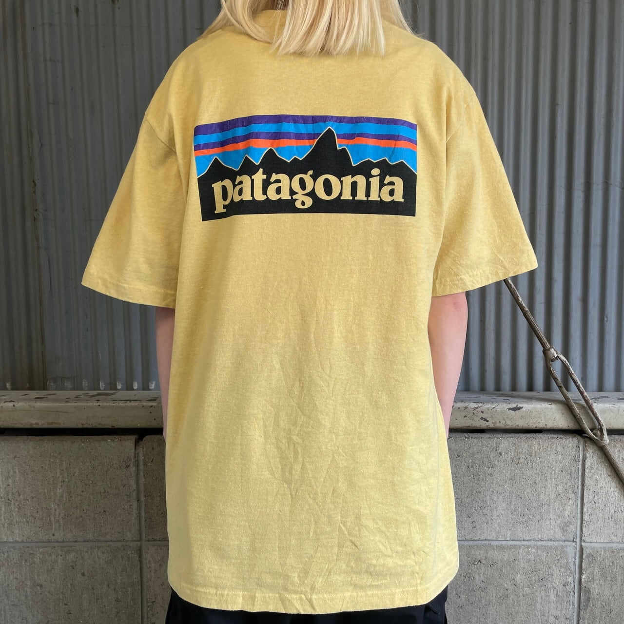 655cm身幅パタゴニア Patagonia ORGANIC COTTON オーガニックコットン バックプリント ロングTシャツ ロンT USA製 メンズL /eaa354041