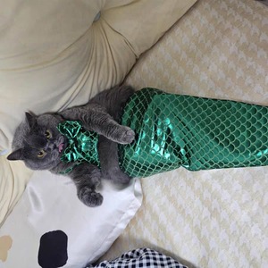 【PET】4色展開ビキニ水着撮影道具人魚コスプレ衣装