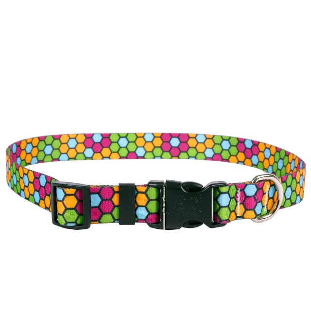 Honeycomb　首輪＋リードセット Ｌサイズ - Yellow Dog Design