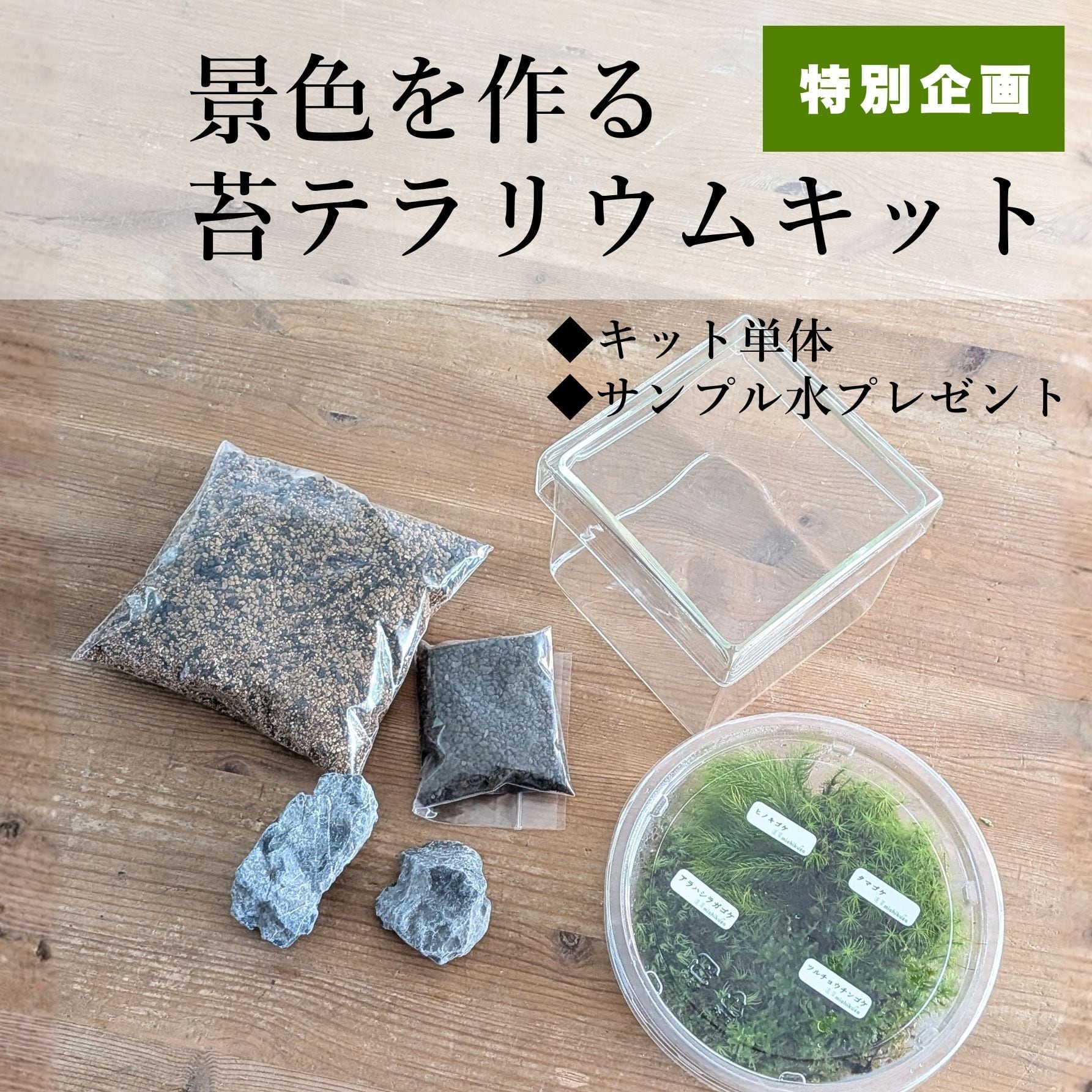 【趣味の園芸7月号 掲載記念】景色をつくる苔テラリウムキット(BOX)◆苔テラリウムの水お試しパックプレゼント