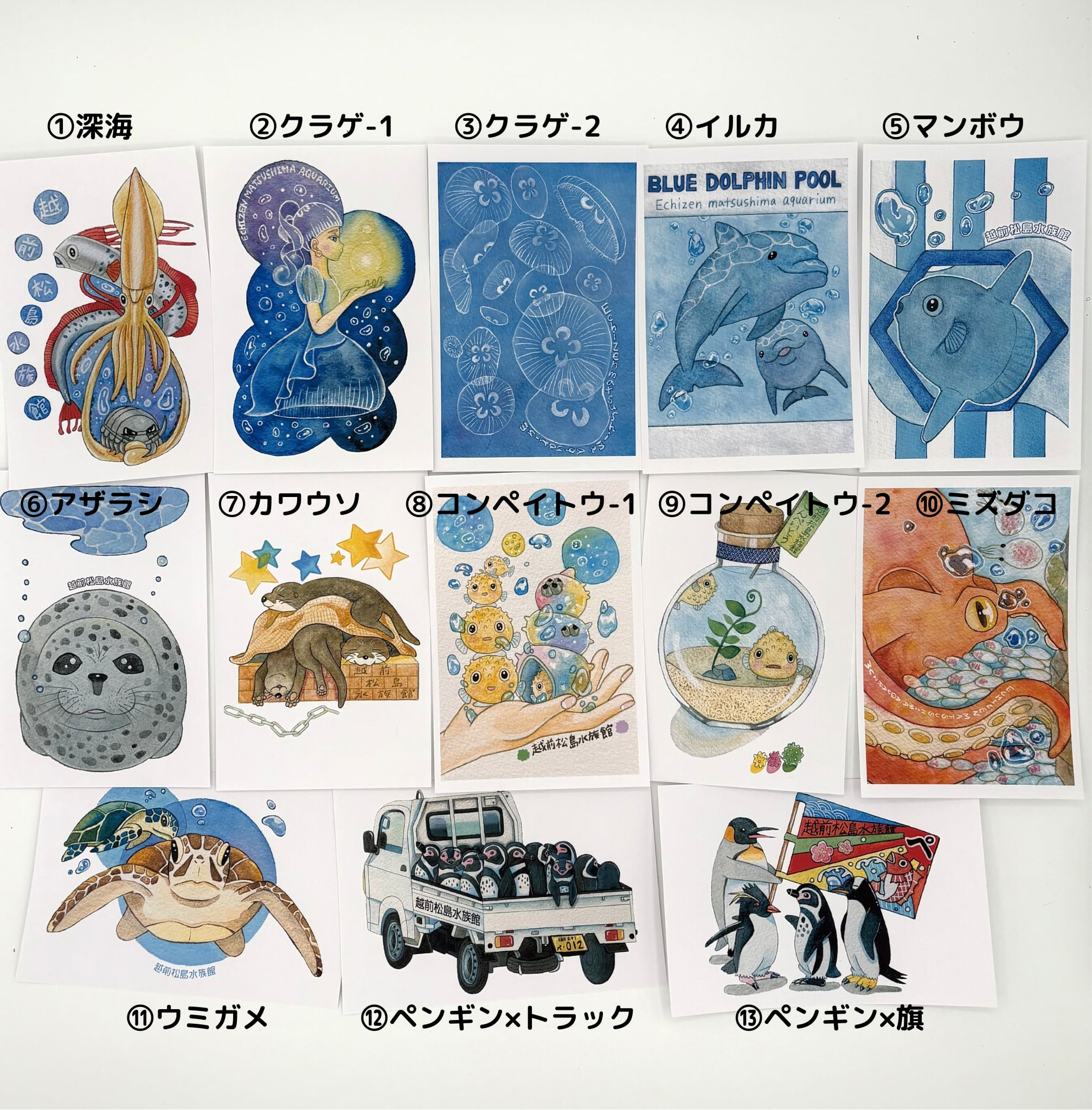 ポストカード【全13種類】 | 越前松島水族館 ONLINE SHOP