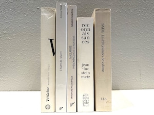 【SPECIAL PRICE】【DS453】’path’-5set- /display book