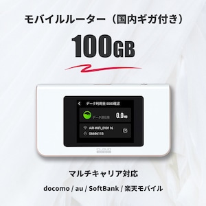 国内ギガ（100GB）+ モバイルルーター（HUNDRED Wi-Fi チャージ Type 本体）
