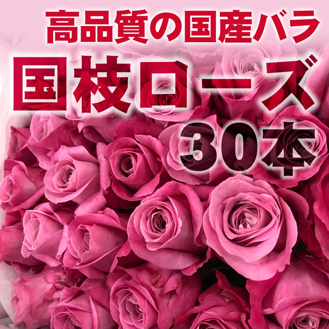 Sale 68 Off 花びら 10枚 赤 ローズピンク ピンク 白