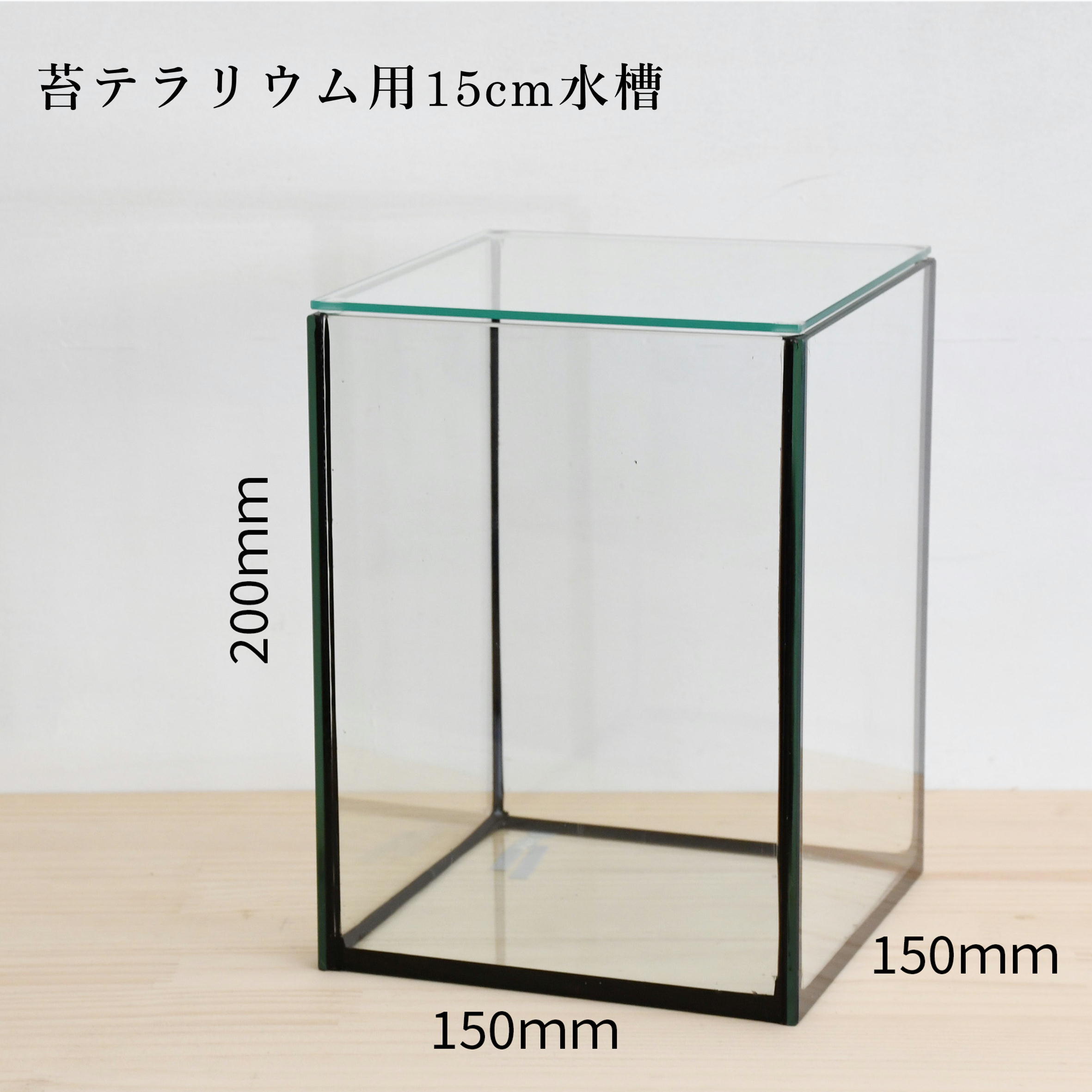 苔テラリウム 15cm GEX製キューブ水槽 こだま フィギュア付き 新商品