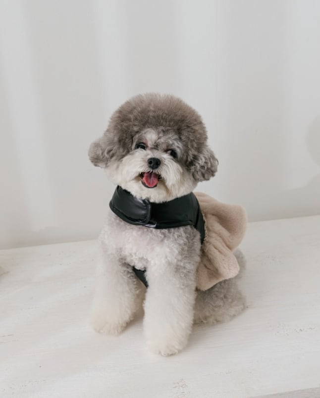 予約【eomuk】Cloud Goose Down harness (Black)