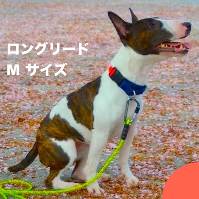 タフイナフ・ロングリード  M サイズ (小型〜中型犬用  〜 8~19kgs 程度まで)