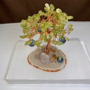 りんごがなる招財樹・ペリドット