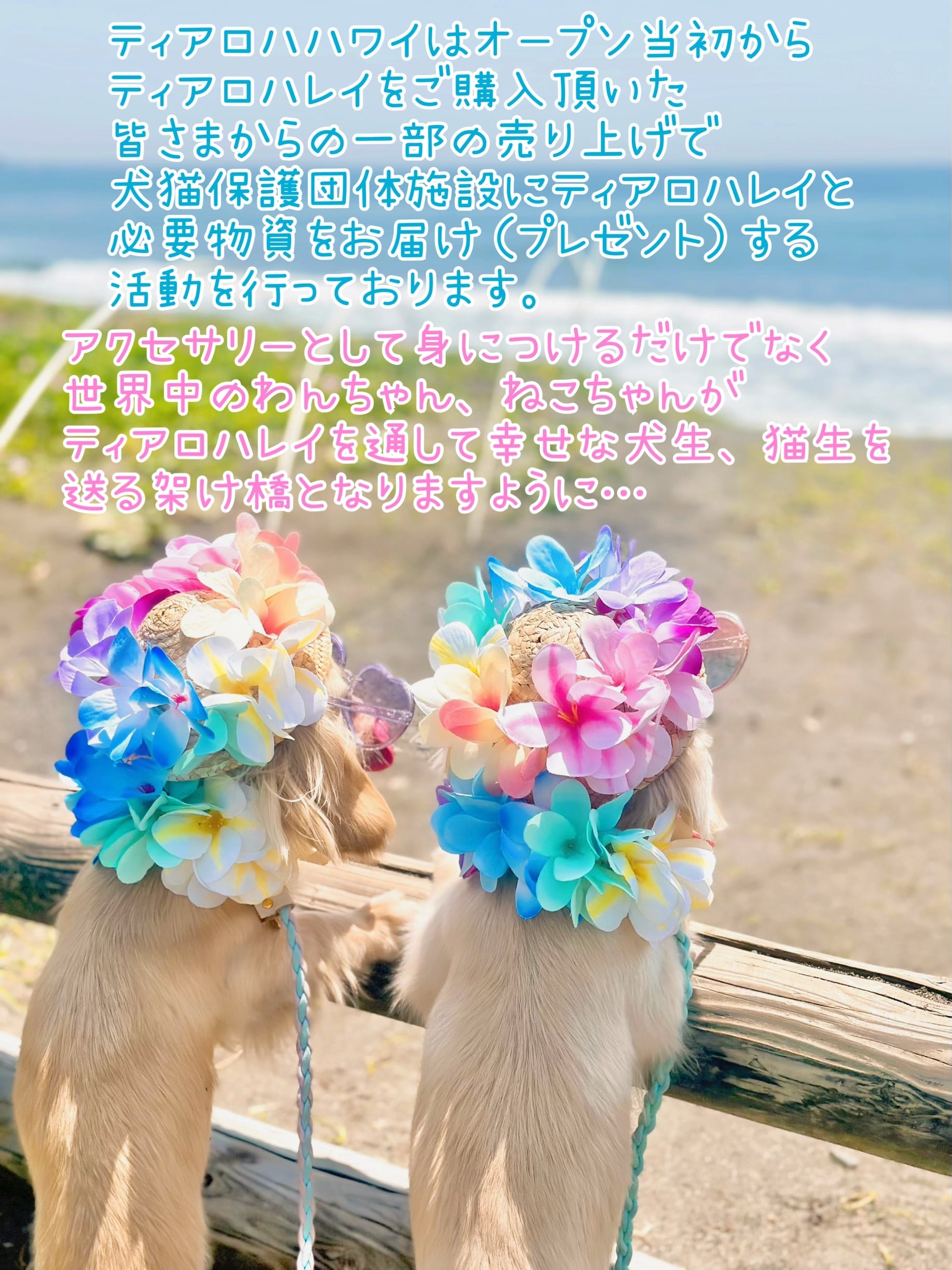 中型犬猫M 限定ティアラ