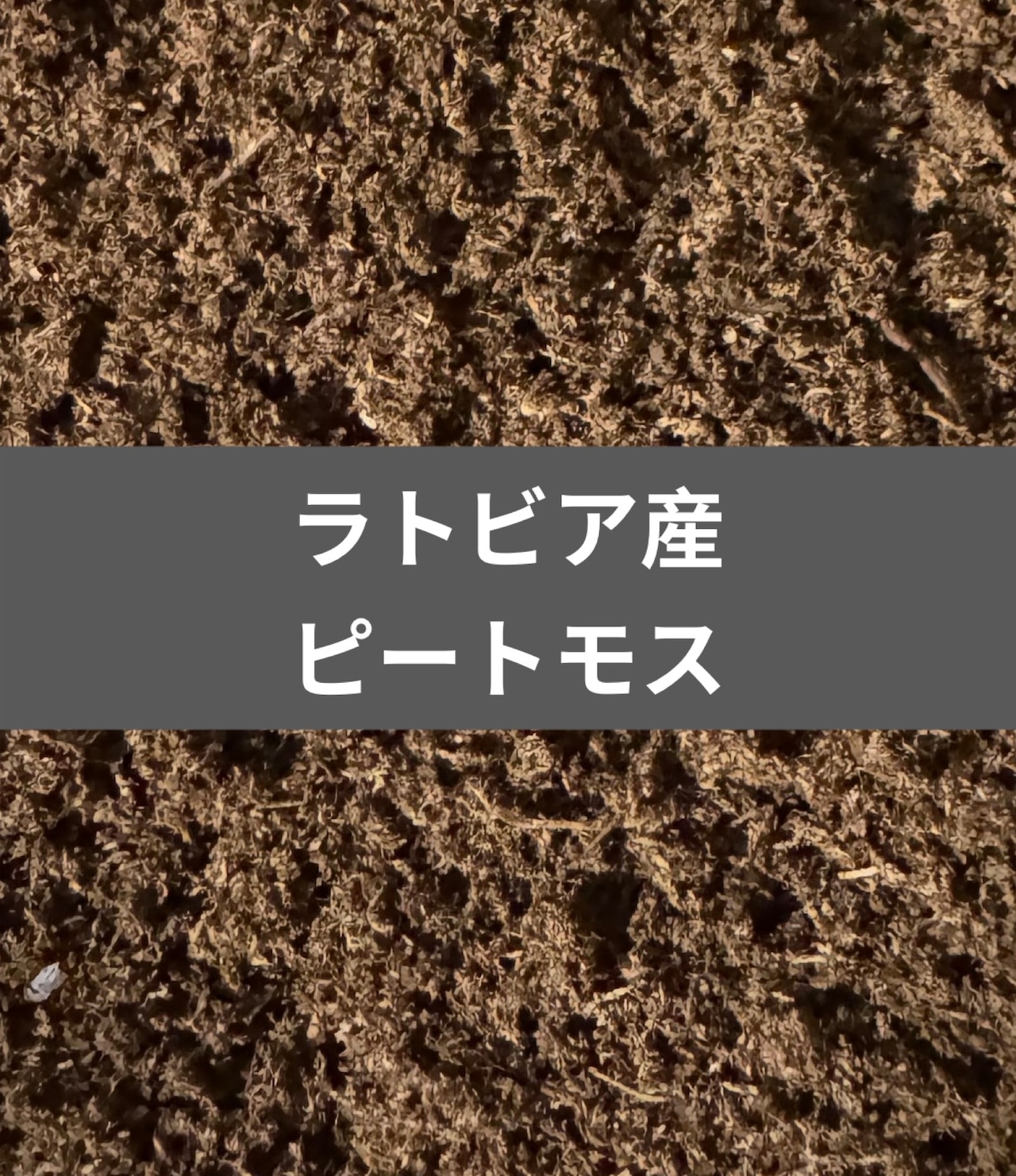 【ラトビア産】ピートモス微粒子マット 10L