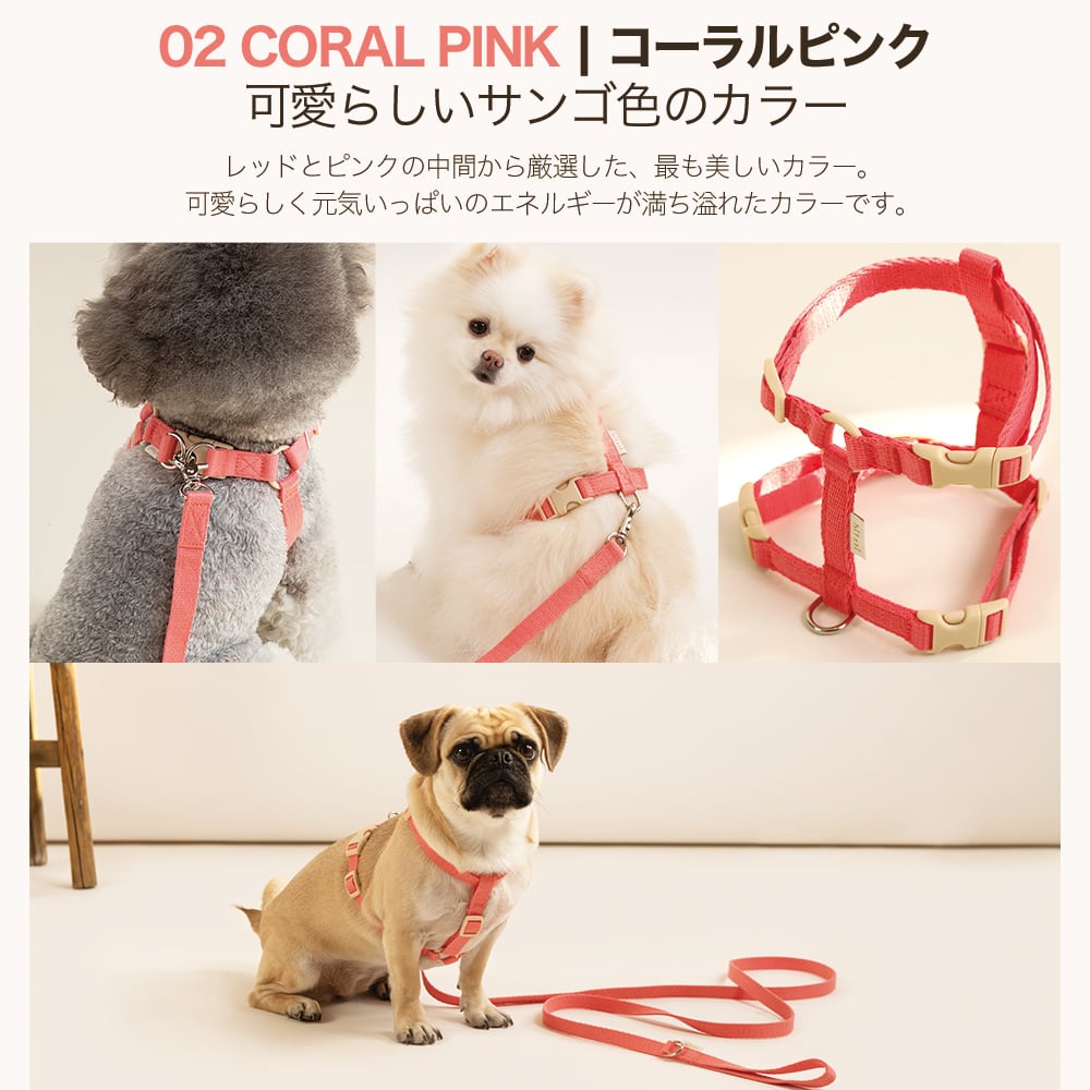 HType Harness H型ハーネス | anpi