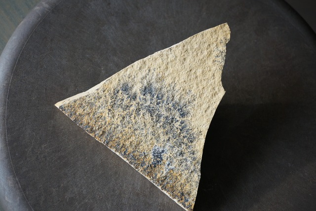 デンドライト 忍石 Dendritic limestone 1188