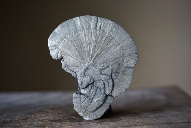 パイライトサン Pyrite Sun 621