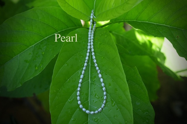 真珠とSv.92.5★真珠パール ネックレス2011