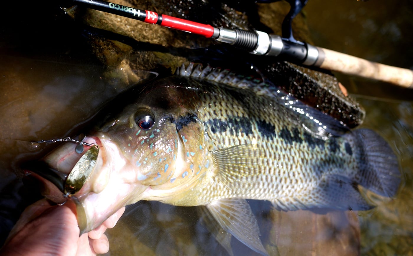 Huerco XT6111-4S フエルコ Amazon | フエルコ XT 611-4S Huerco 4ピースパックロッド | Huerco