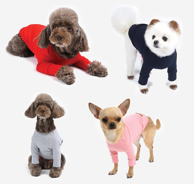 basic t-shirt S ~ 3XL 4color  /  犬服 シンプル 無印 Tシャツ 小型犬 中型犬 大型犬 ペット ドッグウェア 部屋着 長袖 トップス cotton