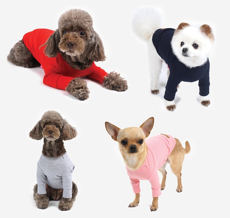 basic t-shirt S ~ 3XL 4color / 犬服 シンプル 無印 Tシャツ 小型犬 中型犬 大型犬 ペット ドッグウェア 部屋着 長袖 トップス cotton top10