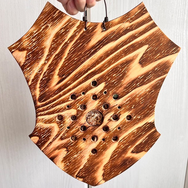 ビカクシダ エレファントティス 中株 板付 【観葉植物 壁掛け コウモリラン】