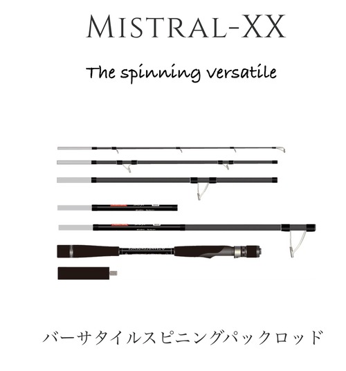TRANSCENDENCE Mistral-XX