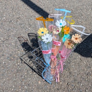 【秋季限定】kosmos／ コスモス | fuwafuwa flower